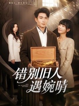 错别旧人遇婉晴(全集)