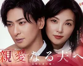 致亲爱的丈夫 完美妻子的谎言(全集)